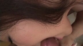 Japanese blowjob closeup in toilet