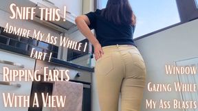 Window Gazing While My Ass Farts
