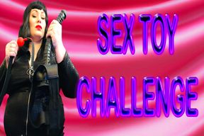 SEX TOY CHALLENGE