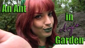 An Ant in Ivy's Garden - Cosplay Giantess - Dirty Feet - Foot Crush - Butt crush