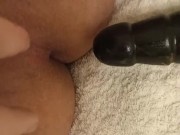 lynx plays with inflatable anal plugs