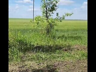 Camping area