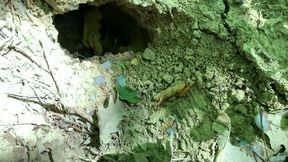 Cumshot Into Hole on a Ground Outdoor