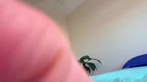 bradnewman - update #329 - bambi blitz pov-4k60h - jan 28, 2026