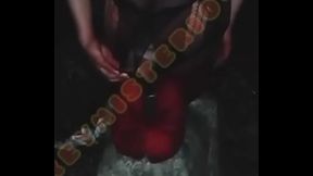 Reymisterio422 - Incada en un bordillo en el bosque- 1000288937 - Mar 12, 2025