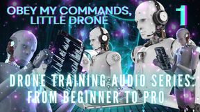 Drone Training Audio Series From Beginner to Pro - Obey My Commands, Little Drone