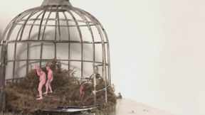 Transformation - Too Lazy to Shop, Giantess MXDominion Makes Her Own Gummies, femdom, vore 1080