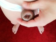Pulling foreskin back and forth on soft cock