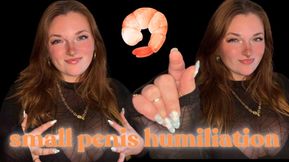 Small Penis Humiliation- SPH Pathetic Dick Cock Tiny Shrimp Bitch Clit Loser Beta Bitch Verbal Humiliation Degradation Sissy