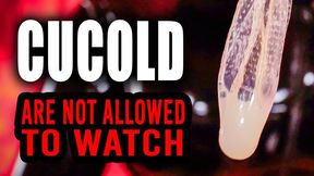 Cucold are not allow to watch