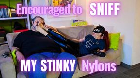 MCD - ENCOURAGED TO SNIFF MY STINKY NYLONS - Full HD
