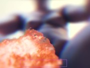 KING KONG IS ANGRY *Preview*
