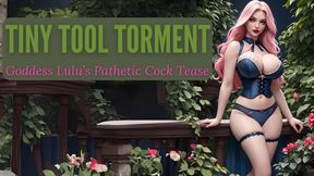Tiny Tool Torment: Goddess Lulu’s Pathetic Cock Tease