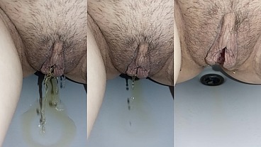 Troia piscia nel bidè
