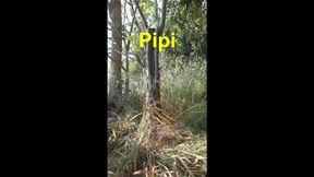 pipi