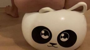 Hopping on little Panda