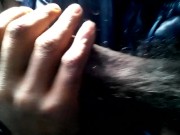 jerking in cat masterbation