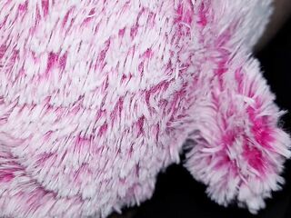 New pink teddy bear fuck