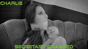 Charlie Monaco - Secretary Grabbed *Black and White* H265 MP4 4K ( Wrap Gagged , Bound Gagged , Tape Bondage , Tied Up Gagged , Bondage , BDSM , Black and White , Secretary Fetish , OTN Gag , Duct Tape Wrap Gag , Skirt and Blouse )