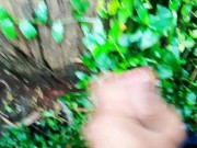 Dan ganas en el bosque