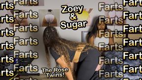 Zoey & Sugar Rose give their Fart Slave a Run for His Money! - Sugar Rose & Zoey Rose