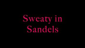 Sweaty Sandals- wmv