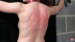 Mercilessly Whipped Against the Spiky Wall: Slave Mila's Bondage Predicament by Lady Dark Angel