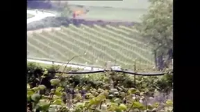 Big boobs sexy lesbians dildo playing