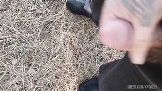 Cunning in the forest