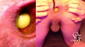 split screen look inside lina s gaping ass with eggs