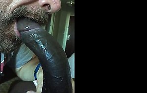 Taking Cock at the hotel.