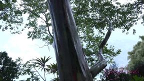 Virtual vacation in Hawaii with Rachel James part 4