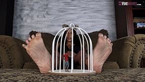 Beverly in &#039;Caged Consiquences&#039; 4K UHD Giantess Vore