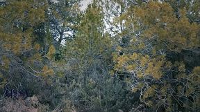 The search for a sexual ghost that leads you to fuck