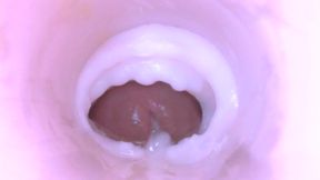 Compilation of Me Fucking Fake Pussy and Cum Inside