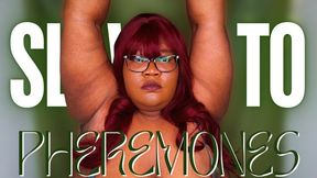 Slave to Pheremones - Bella Trixxx Hairy Armpit Ebony Goddess Worship 720p