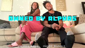 Owned by Alphas feat Incog Bandit