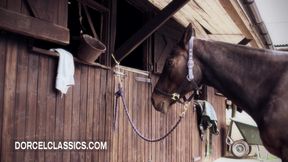 Steamy sex at the riding club