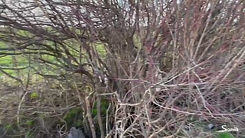 Devil Sophie is a smashing blonde lady who likes to have rough sex in the nature