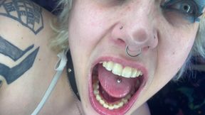Mouth Tour