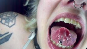 Mouth Tour