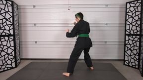 ZIVA'S KICKING PRACTICE (4K)