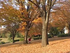 Sful amateur teen Nana Nanaumi gives a cute treatment to cock