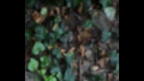 Inculato al parco mio video amatoriale Bologna Italia