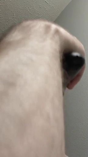 Shaving and trimming my cock, balls, and face