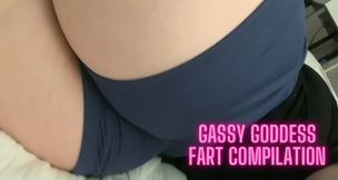 Gassy Goddess Fart Compilation - BBW Ass Worship Toilet Farts Fetish Verbal Humiliation