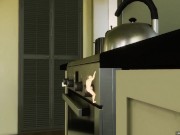 Macro Simulator New Framework test