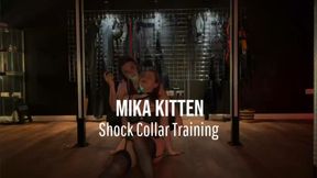 Shock Collar Training