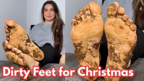 All You Get for X-Mas is DIRTY FEET! POV Filthy Foot Worship JOI (HD)