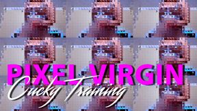 RIP OFF Virgin Pixel Fincuck Training